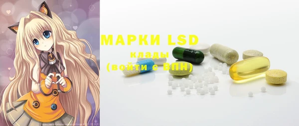 PSILOCYBIN Беломорск