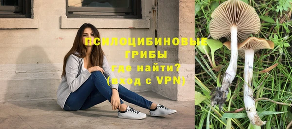 apvp Белоозёрский