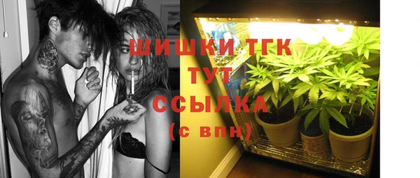 PSILOCYBIN Беломорск