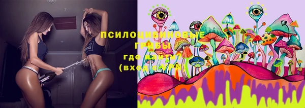 apvp Белоозёрский