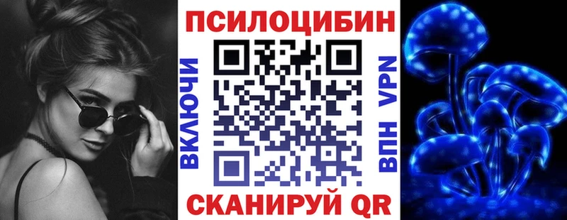 закладка  Надым  Псилоцибиновые грибы прущие грибы 