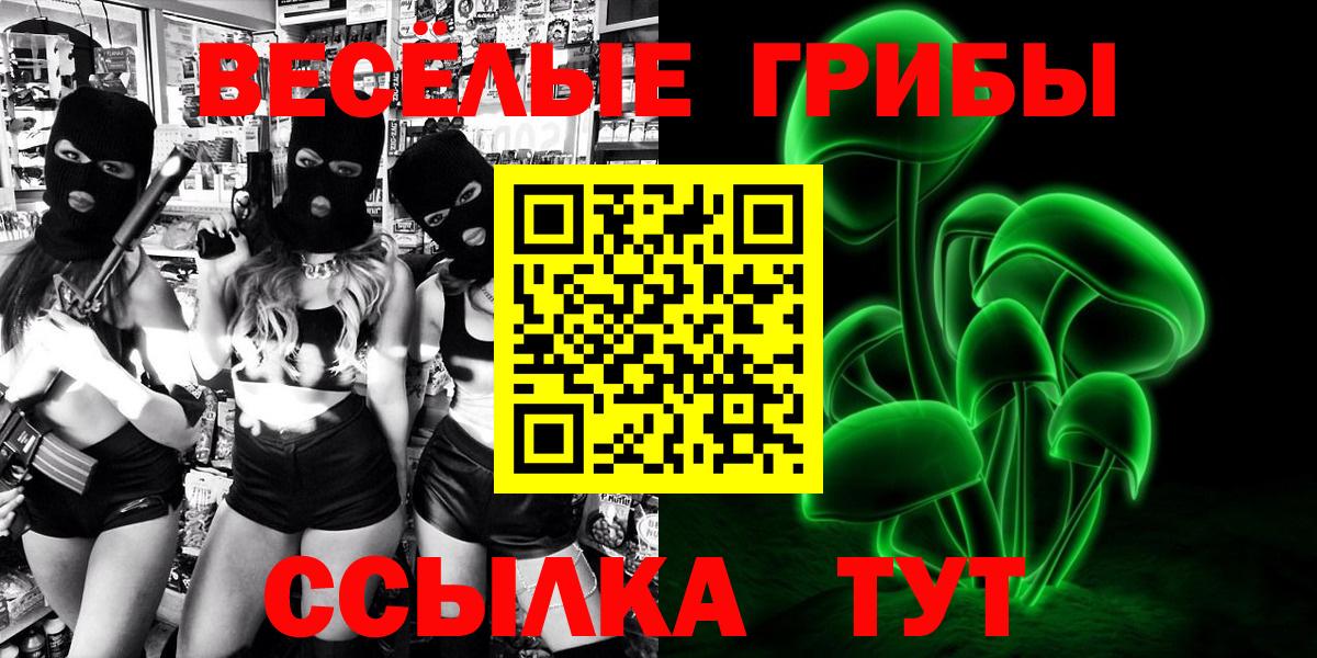 Псилоцибиновые грибы мицелий Надым